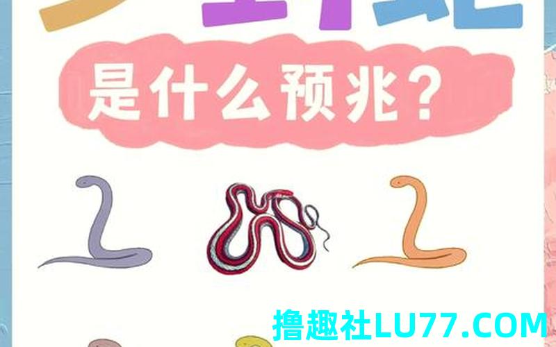 梦见花蛇被自己打死