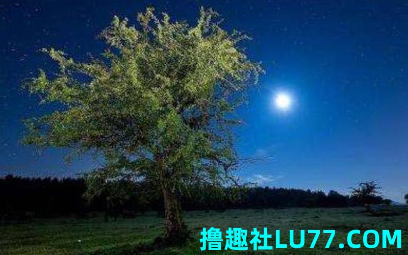 梦见死人和菜 梦见死人和菜