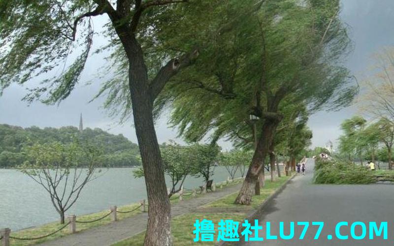 梦见风刮进屋里 梦见风刮进屋里