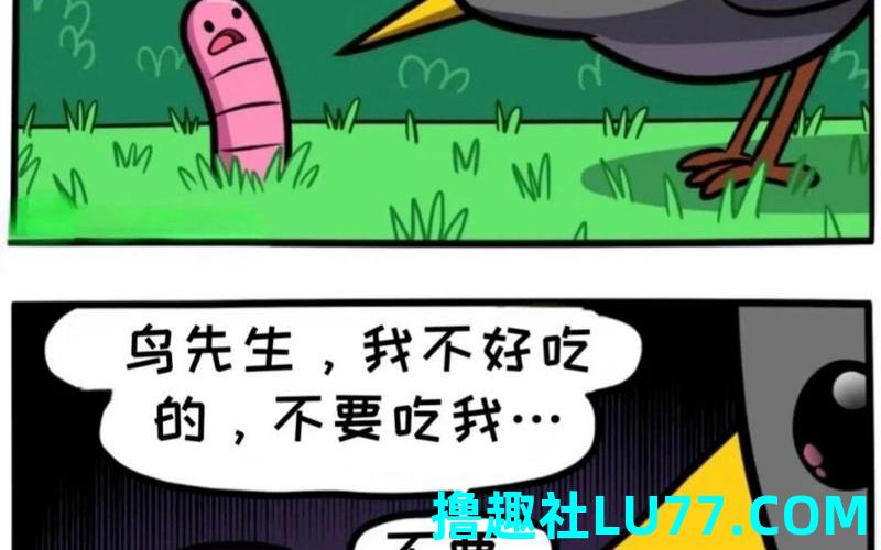 梦见虫咬鸟
