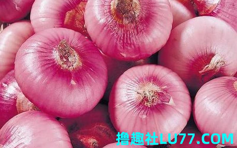 梦见拾葱头