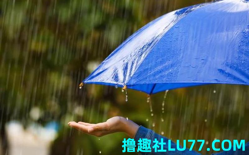 梦见雨挺大 梦见雨挺大