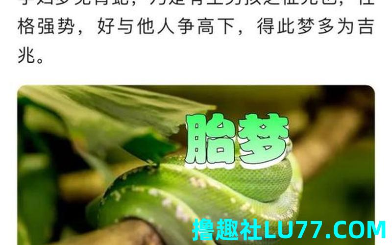 怀孕晚期梦见蛇