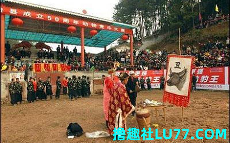 梦见杀牛神