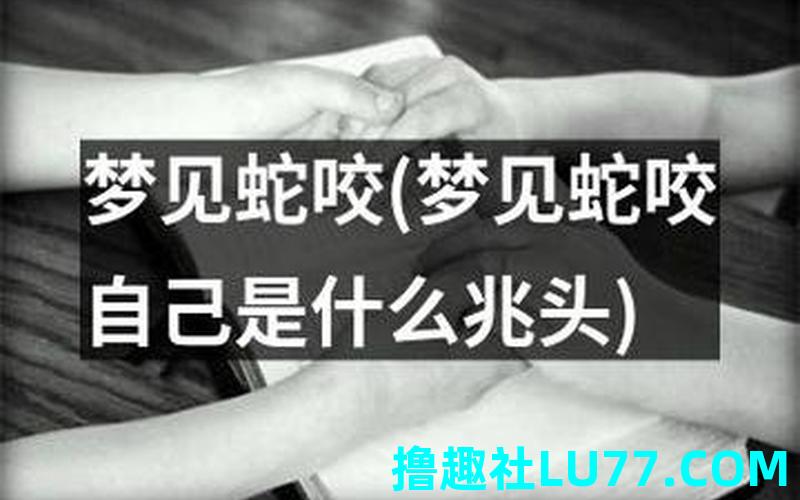 梦见被白蛇咬了一口