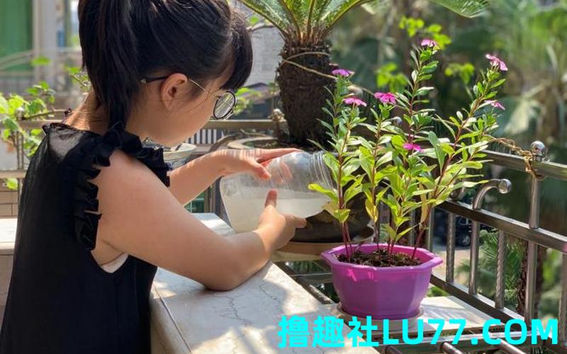 孕妇梦见浇花 孕妇梦见浇花