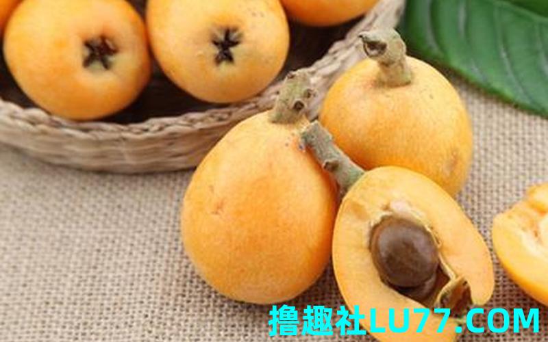 梦见选枇杷 梦见选枇杷