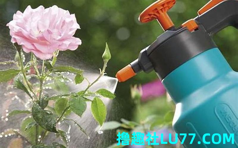 梦见踩水泥花 梦见踩水泥花