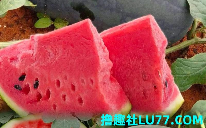 梦见吃黑瓤西瓜 梦见吃黑瓤西瓜