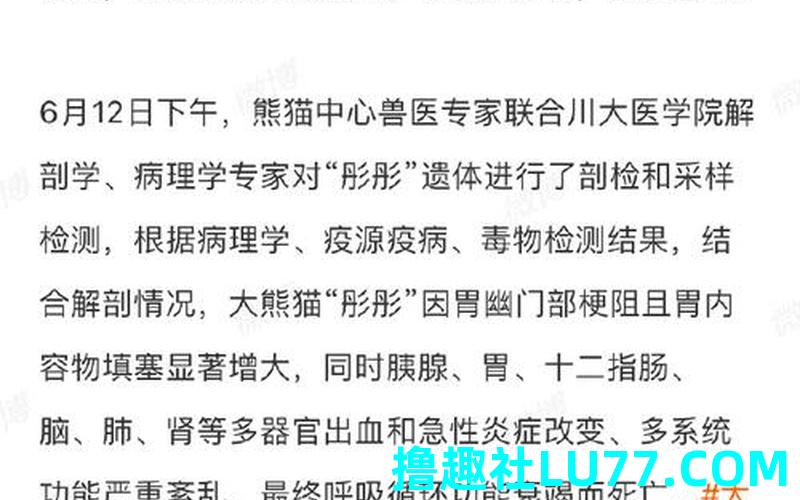 梦见熊猫死掉是什么意思