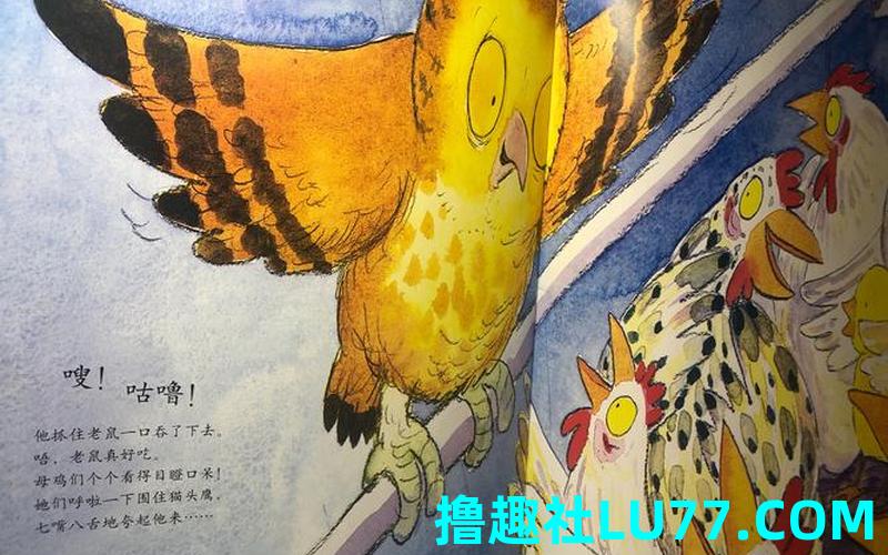 梦见鸡进袖口 梦见鸡进袖口
