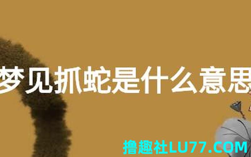 梦见别人抓到蛇