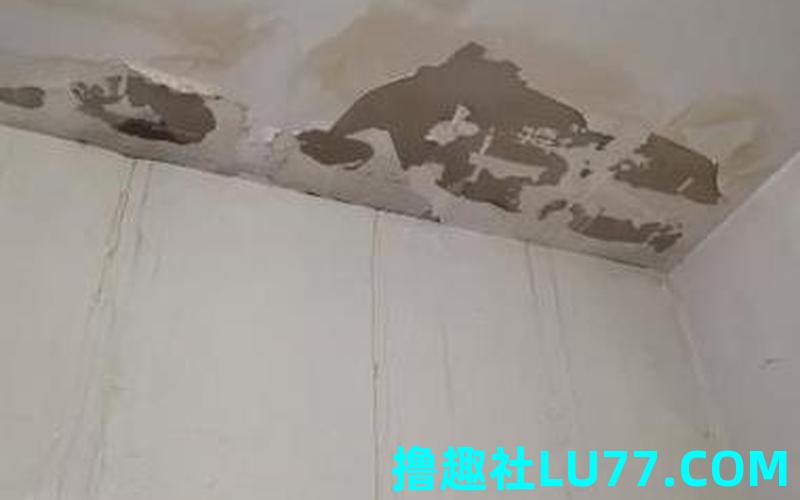 梦见预言水灾