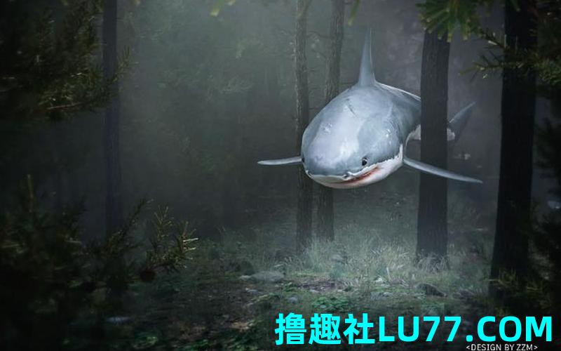 梦见 鲨鱼