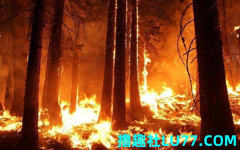 梦见自己火烧死人