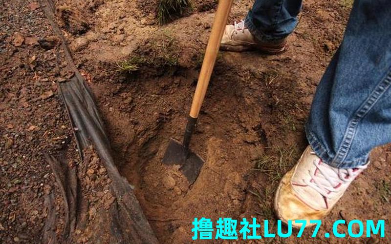 梦见自己捡了金碗 梦见自己捡了金碗
