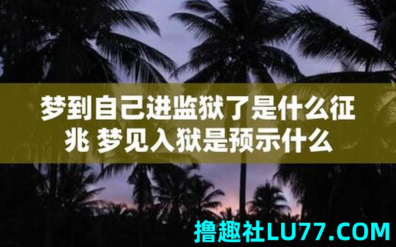梦见犯因