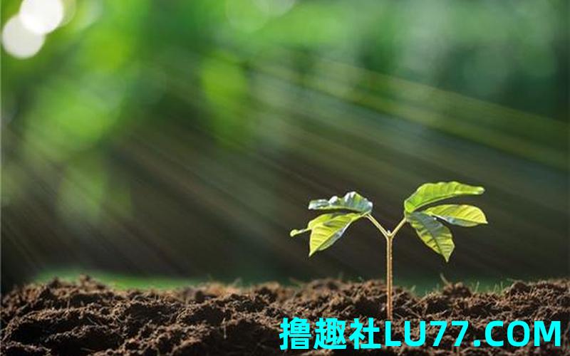 解梦梦见种树 解梦梦见种树