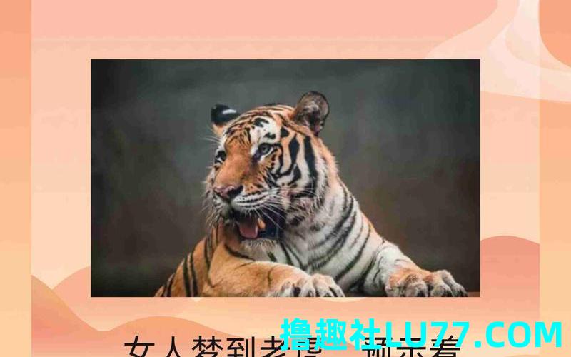 梦见老虎蛇斗 梦见老虎蛇斗