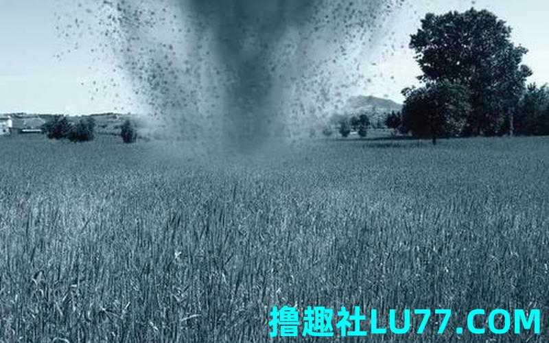 梦见龙卷风来了 梦见龙卷风来了