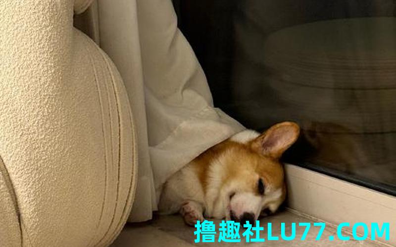 梦见靠边躺着 梦见靠边躺着