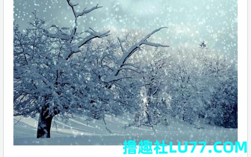 梦见雪变少