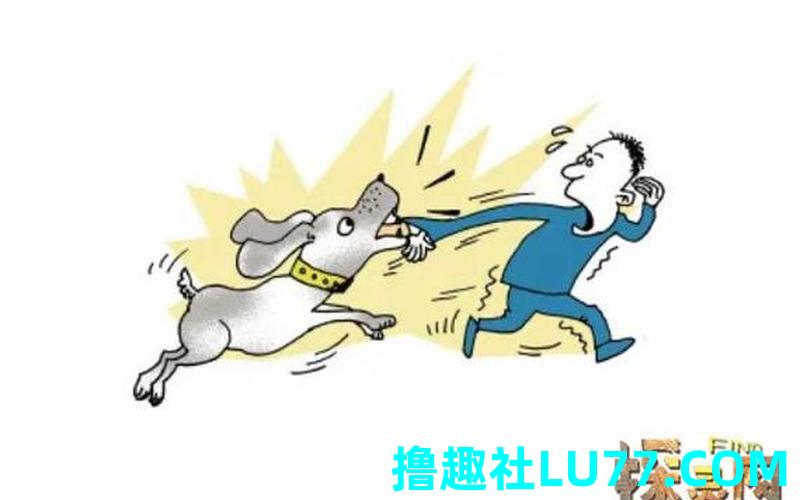 梦见狗入