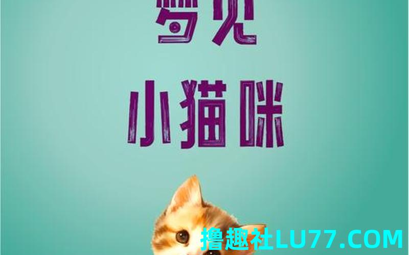 梦见被猫追赶