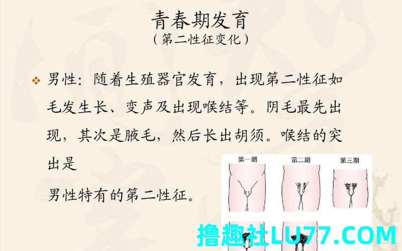 梦见阴部少毛