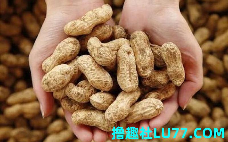 梦见我给别人花生