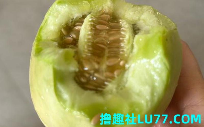 梦见我种香瓜 梦见我种香瓜