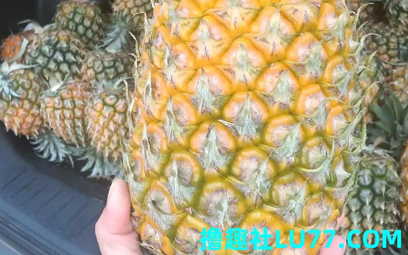 女梦见菠萝 女梦见菠萝
