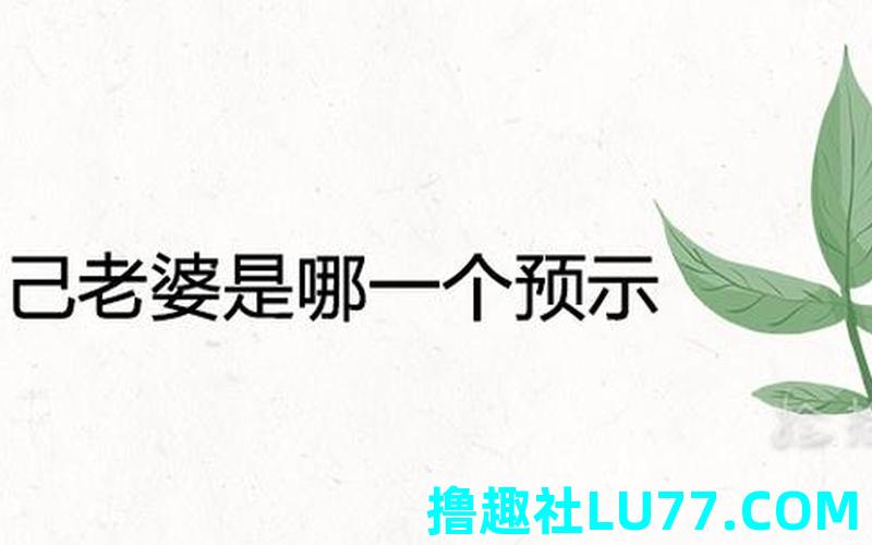 梦见谈老婆