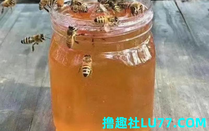 梦见蜜