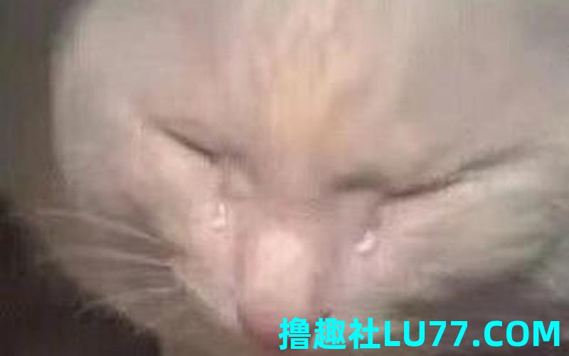 梦见别的脸