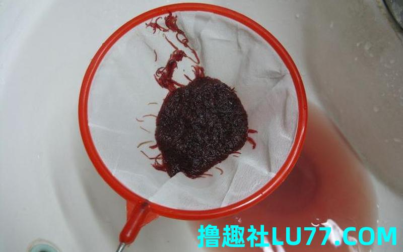 梦见血里有虫
