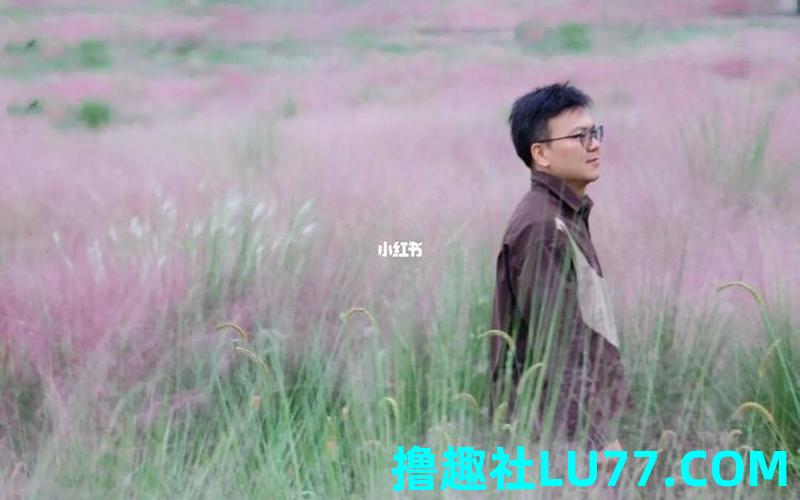 男生梦见花海 男生梦见花海