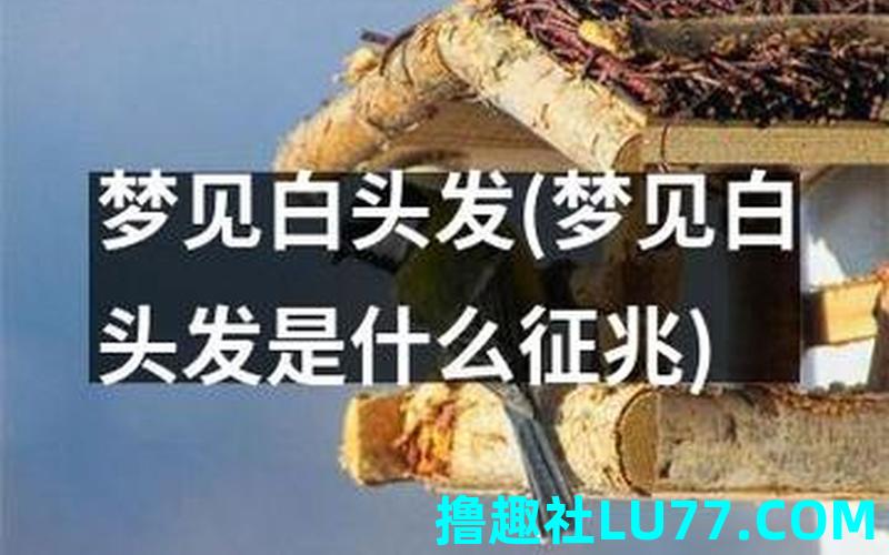 梦见自己头发全部白了