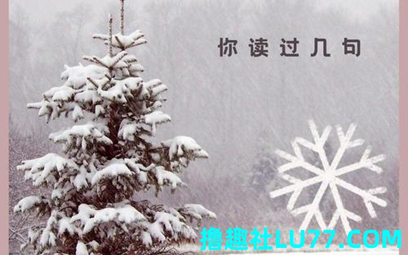 梦见雪花飘进屋里 梦见雪花飘进屋里