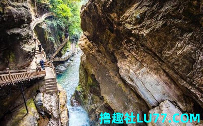 梦见走入仙境