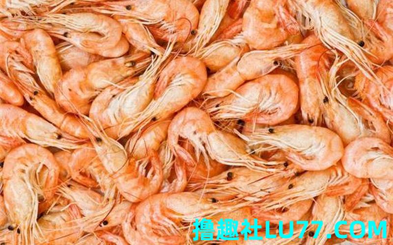 虾梦见