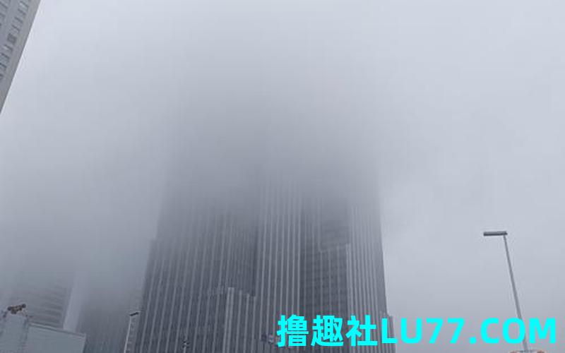 梦见雾很大 梦见雾很大