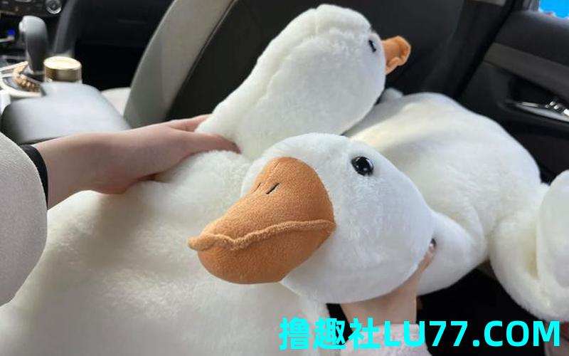 梦见鹅抱儿