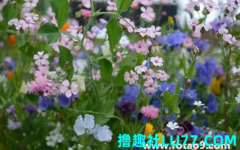 梦见铁线断了