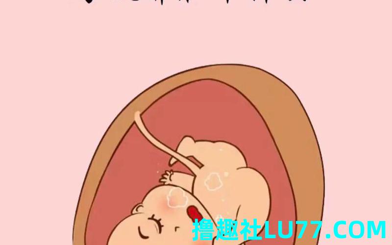 孕妇梦见背孩子