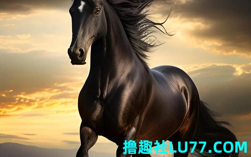 梦见骋 梦见骋