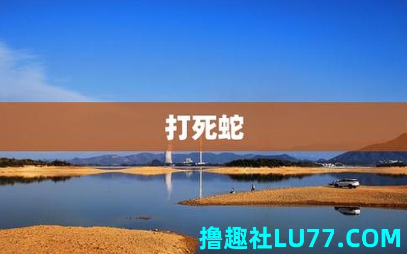 梦见蛇被别人杀死 梦见蛇被别人杀死