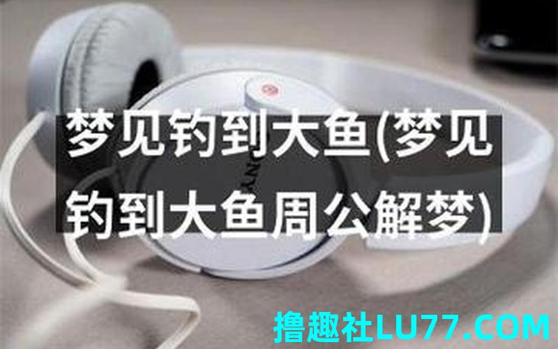 梦见在鱼上走 梦见在鱼上走