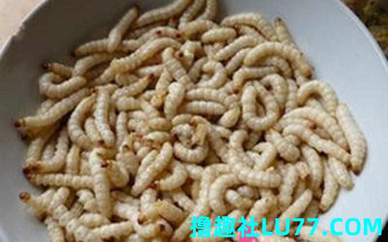 梦见锅生蛆了 梦见锅生蛆了