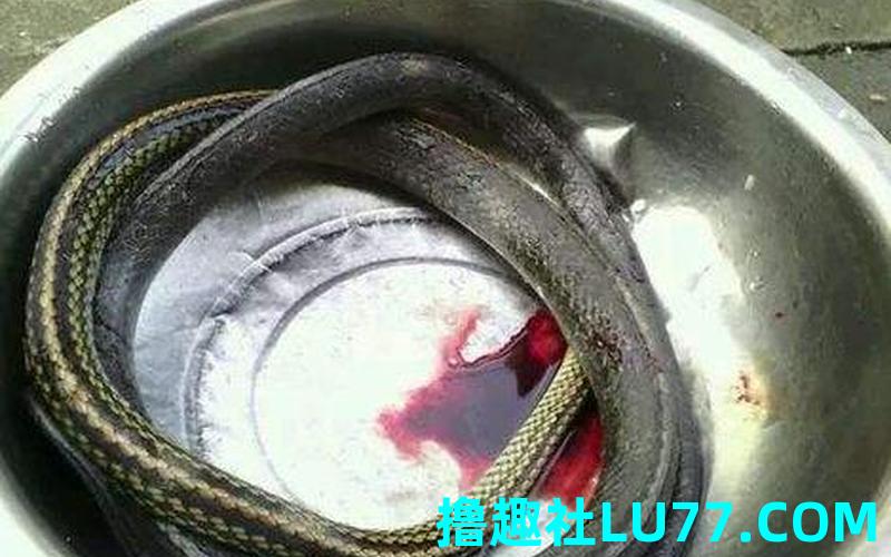 做梦梦见蛇蛇头掉了